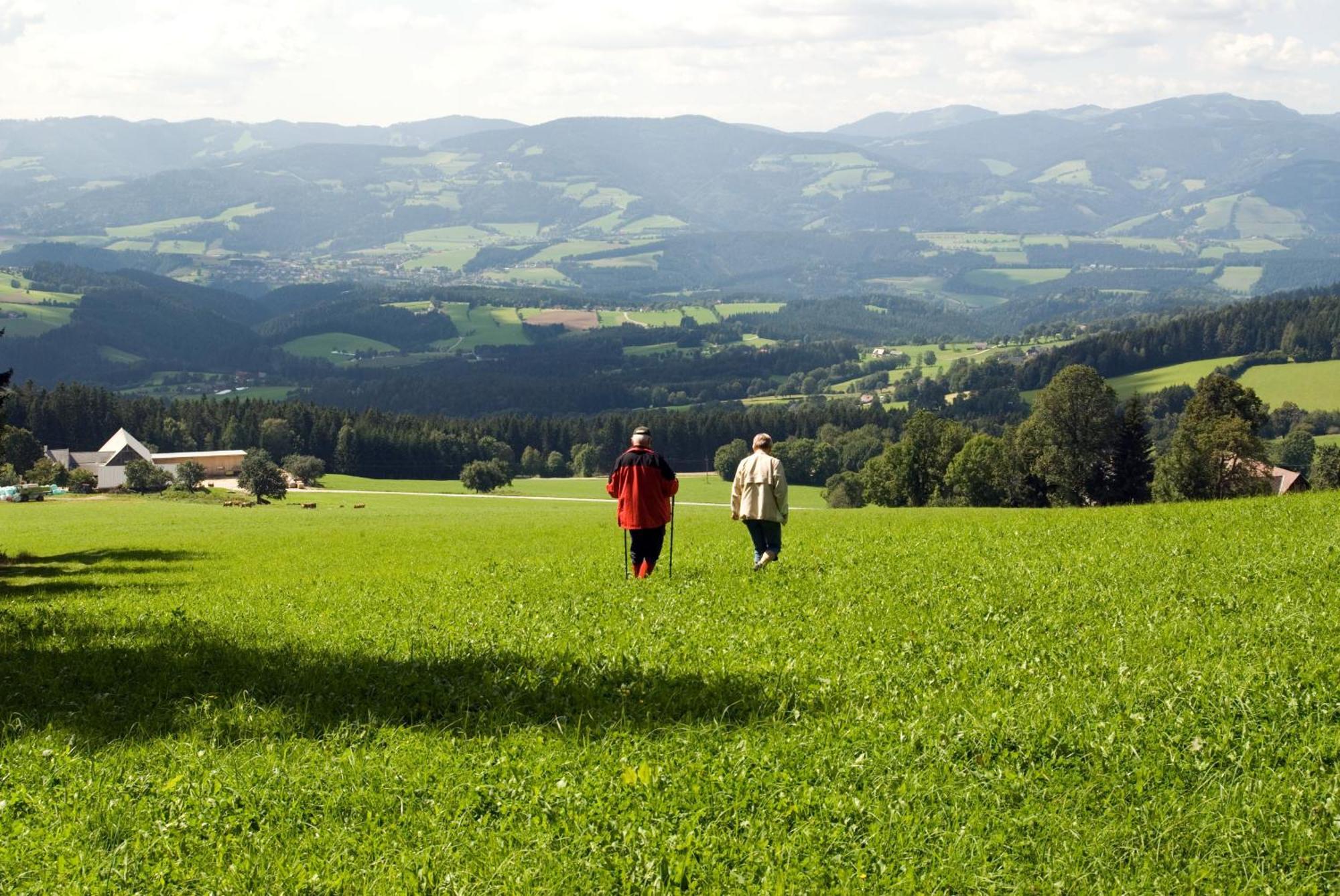 Wildwiesenhof Miesenbach  Bagian luar foto