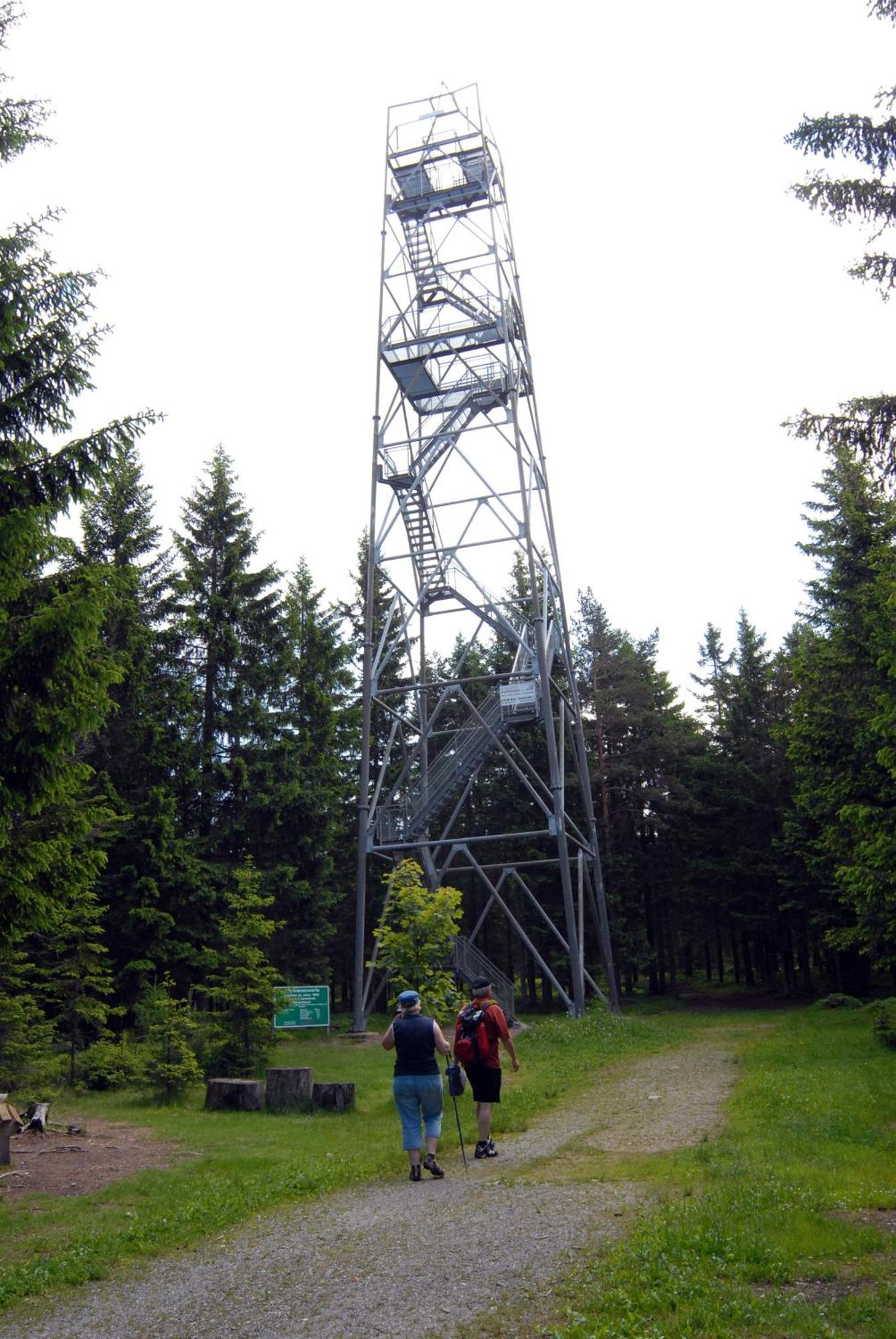 Wildwiesenhof Miesenbach  Bagian luar foto