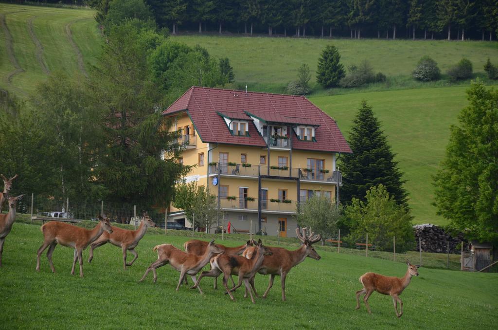 Wildwiesenhof Miesenbach  Bagian luar foto