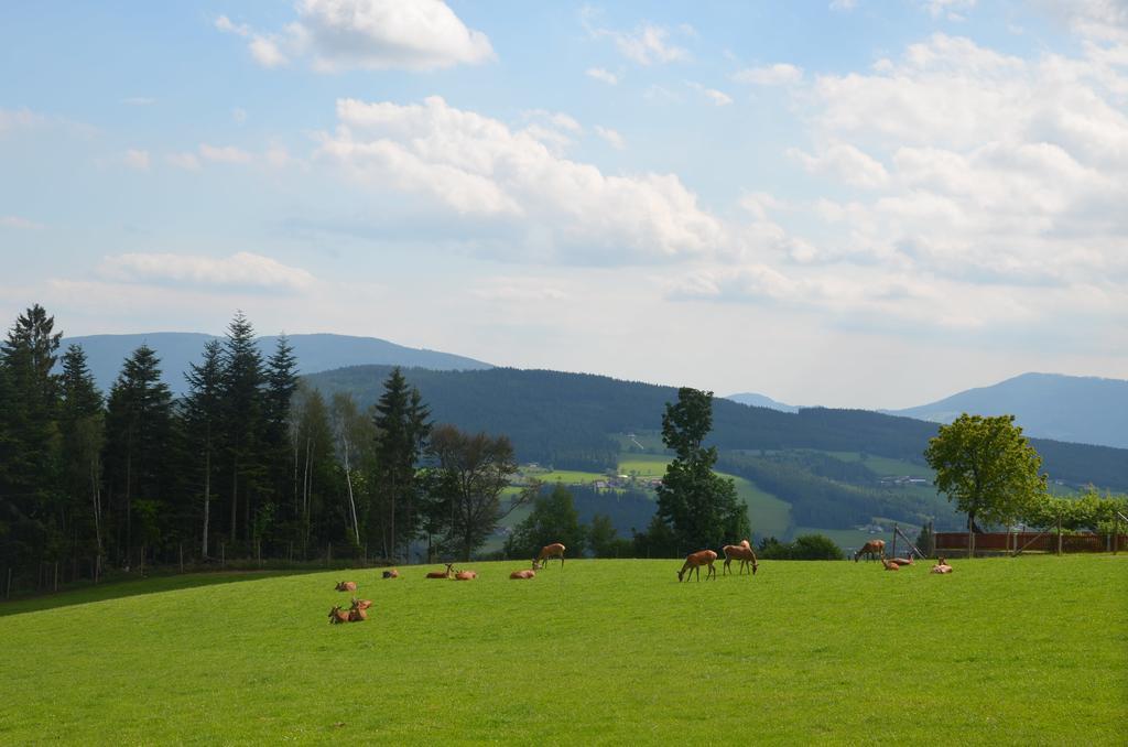 Wildwiesenhof Miesenbach  Bagian luar foto